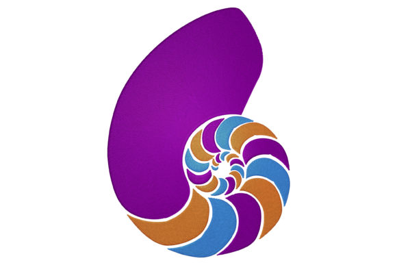 Multicolor Shell: A Vibrant Embroidery Design Review
