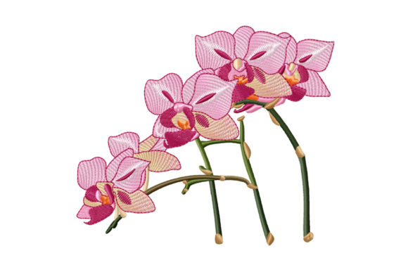 Putting the Beautiful Branch of Pink Orchid Embroidery to the Test